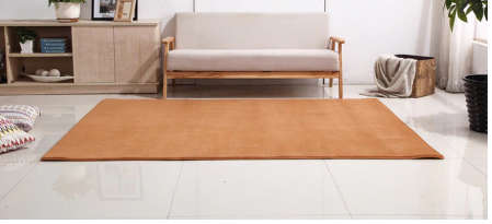 LUXURIOUS CARPET -SUPER SOFT BEAUTIFUL : Measures 2.5 m x 2.0m  -Short-haired coral velvet carpet li